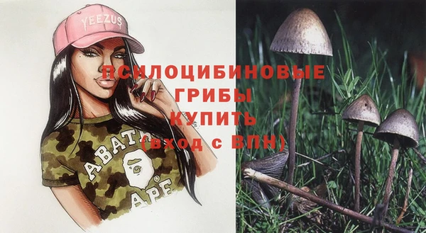 mix Богородицк