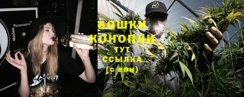 купить наркотики цена  Болотное  Канабис OG Kush 